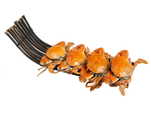 免抠摄影-餐饮美食海鲜大闸蟹